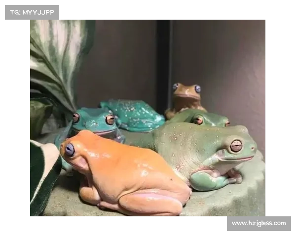 掌握这五大实用攻略让你的宠物快速提升技能变身聪明小达人 掌握这五大实用攻略让你的宠物快速提升技能变身聪明小达人